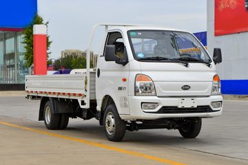 凯马汽车 锐航X1 2.0L 133马力 汽油 4X2 4米单排栏板微卡(KMC1039QA318D6)