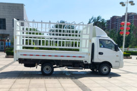 V5M 电动载货车外观图片