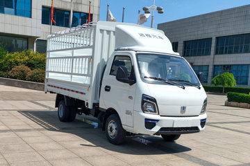 远程 V5M 标准版 4.005米单排甲醇仓栅式小卡