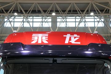 �������� ����H5V 480���� 6X4 LNGǣ����(LZ4250H7DM1)ͼƬ