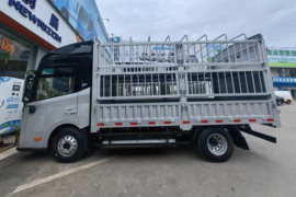 iC1&nbsp;电动载货车外观图片