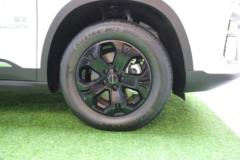 吉利雷达地平线 创业版 两驱 双排纯电动皮卡63kWh