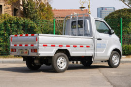 大象G30&nbsp;电动载货车外观图片