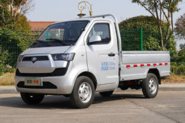 大象G30&nbsp;电动载货车外观图片