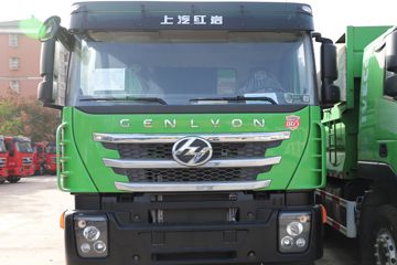  ʨC6 ذ 390 6X4 5.6ж()(CQ5257ZLJHV09384)ͼƬ