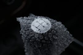 跨越者D5 载货车驾驶室                                               图片
