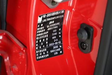 ������ʮ�� �￧TAGA H 2021�� ������ ��׼��� 3.0T���� 142���� ���� ˫��Ƥ��(����)ͼƬ