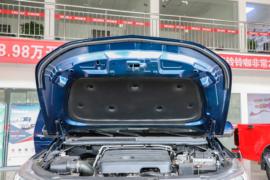 五十铃达咖TAGA H&nbsp;皮卡外观                                                图片