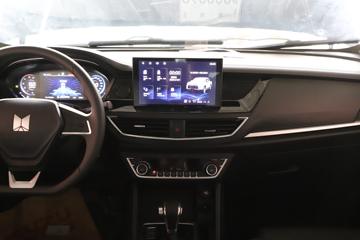 ������ʮ�� �￧TAGA H ������ ��׼��� 3.0T���� 150���� ���� �Զ���˫��Ƥ��(����)ͼƬ