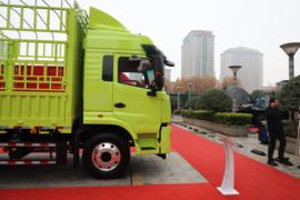 格尔发A6 PLUS&nbsp;载货车外观                                                图片