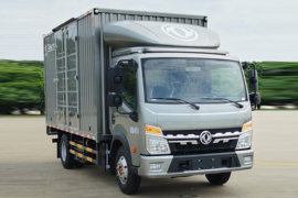 多利卡D6&nbsp;电动载货车外观图片