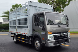 多利卡D6&nbsp;电动载货车外观图片