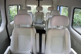 大麦&nbsp;VAN/轻客货厢图片