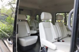 大麦&nbsp;VAN/轻客货厢图片