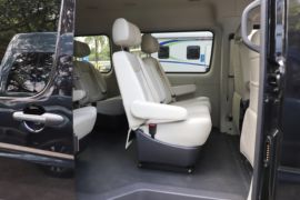 大麦&nbsp;VAN/轻客货厢图片