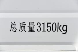 蓝猫M2&nbsp;电动封闭厢货外观图片