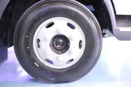 悍将PRO 载货车底盘                                                图片