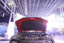 搏胜&nbsp;皮卡底盘                                                图片