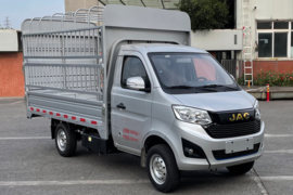 多米&nbsp;载货车外观                                                图片