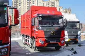 德御Q300&nbsp;载货车外观                                                图片