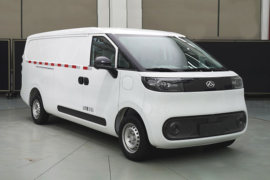 大拿V1&nbsp;电动封闭厢货外观图片