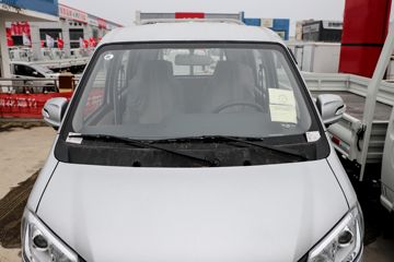 多米&nbsp;载货车外观                                                图片