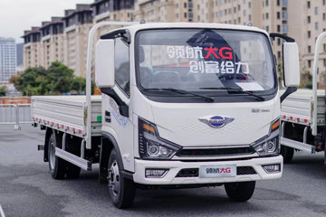 福田 时代领航L1 4.5T 4.17米纯电动栏板轻卡100.46kwh
