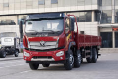 福田瑞沃 圣龙ES7 270马力 8X2 8.8米栏板载货车(BJ1314VPPHC-01)