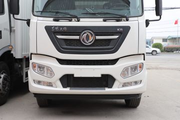 ó KR PLUS ҫ 290 4X2 8.3ʽػ(DFH5180XXYE8)ͼƬ