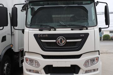 ó KR PLUS ҫ 290 4X2 8.3ʽػ(DFH5180XXYE8)ͼƬ
