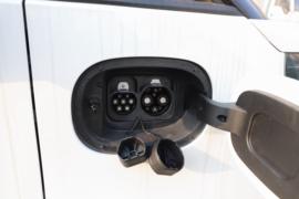 大拿V1&nbsp;电动封闭厢货底盘图片