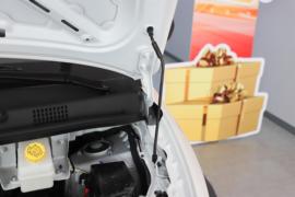 黄金仓&nbsp;电动封闭厢货外观图片