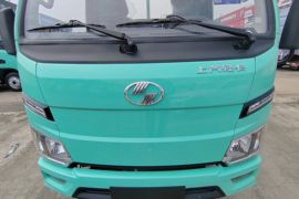 福星S系&nbsp;电动载货车外观图片