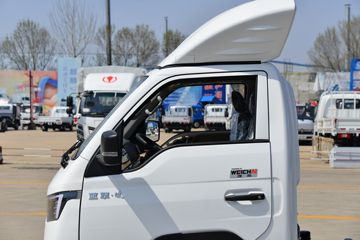 �������� ��R 1.6L 122���� ���� 3.7�׵�����ʽ΢��(YTQ5031XXYPHQ331)ͼƬ