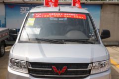 五菱 荣光新卡 基本型 2L 136马力 汽油 2.6米双排栏板微卡(后双胎)(LZW1030SLGHUB)