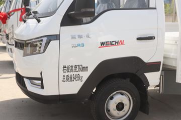 �������� ��R 1.6L 122���� ���� 3.85�׵�������΢��(YTQ1031PHQ331)ͼƬ