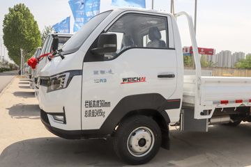 �������� ��R 1.6L 122���� ���� 3.85�׵�������΢��(YTQ1031PHQ331)ͼƬ