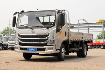 Ծ�� ��ԽH500 160���� 4.2�׵��������Ῠ(����)(SH1043ZFDCWZ5)ͼƬ