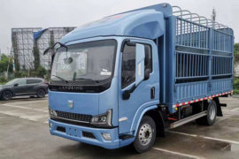 蓝擎·悦EH&nbsp;电动载货车外观图片