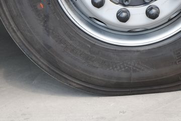 ˹������ ��Rϵ�� 500���� 6X2Rǣ����(��ɫ)(�ͺ�R500 6x2)ͼƬ