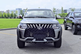 蛟龙&nbsp;皮卡外观                                                图片