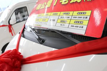 ������Խ ��Խ��V7EV ������ 2.5T 6�� 4.8�״��綯����;���ó�(�Կ���)41.86kWhͼƬ