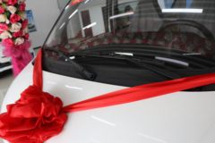长安跨越 跨越星V5 豪华版 2.5T 6座 4.495米纯电动多用途乘用车41.86kWh