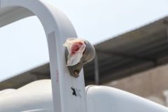 东风 凯普特星云K6-L 标准版 163马力 4.17米单排栏板轻卡(国六)(EQ1041S8CD2)