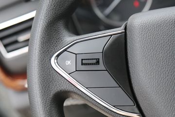 ������Խ��D5 PLUS ������ 2.0L 122���� CNG 4.02�׵��Ų�դʽС��ͼƬ