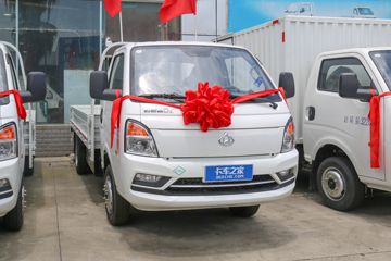 ������Խ��D5 PLUS ������ 2.0L 122���� CNG 3.95�׵�������С��(����)(SC1031UFD61CNG)ͼƬ
