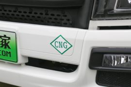 祥龙&nbsp;电动载货车外观图片