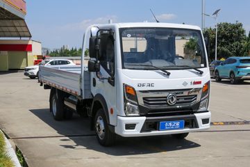 东风 凯普特星云K6 任吾行 2.0L 127马力 CNG 4.17米单排栏板轻卡(EQ1030S3TNE)