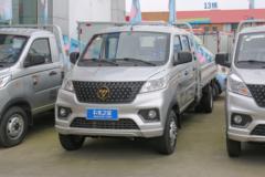 福田 祥菱V3 1.5L 143马力 CNG 3.02米双排栏板微卡(BJ1030V4AC8-43)