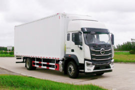 奋斗&nbsp;载货车外观                                                图片